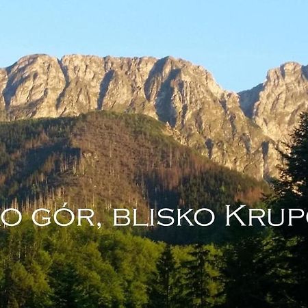 Willa Otulina Pod Giewontem Закопане Экстерьер фото